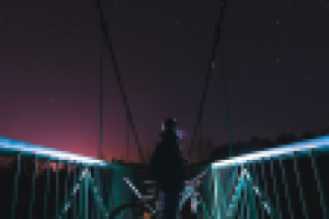 Работа 3008907