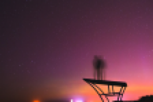 Работа 3008905