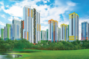 Консалтинг в сфере недвижимости (первичный и вторичный рынкиСПб)