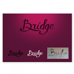 Разработка логотипа Bridge 1
