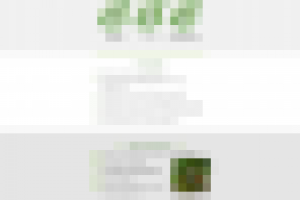 Работа 2402701