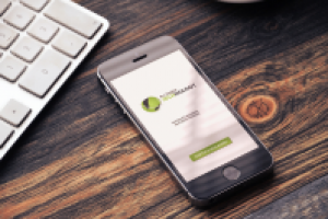 Работа 2966332