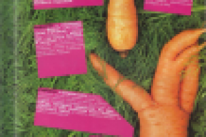 Ода НЕформату-2 [журнал "VogueZall"]