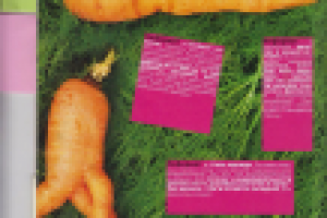 Ода НЕформату-1 [журнал "VogueZall"]