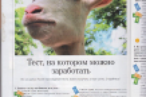 Авторский тест [журнал "VogueZall"]