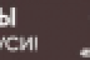 Баннер "Каннские львы в Белоруссии"