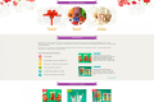 И.М. редизайн интернет магазина по упаковке подарков БестУпак бэ