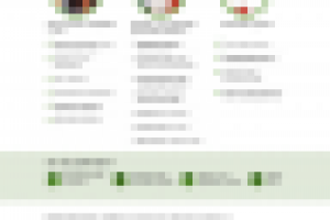 Landing Page оформление on-line кредита