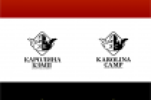 логотип детского лагеря