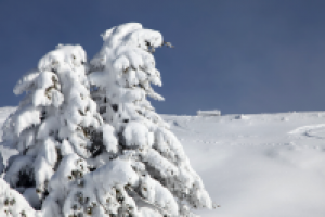 Работа 2952388