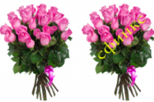 удаление водяного знака