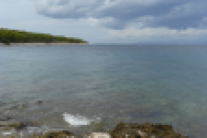 Работа 2859092