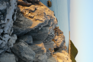 Работа 2859075