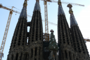 Работа 2859061