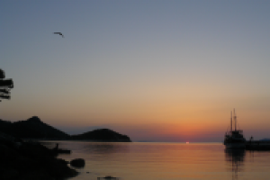 Работа 2859040