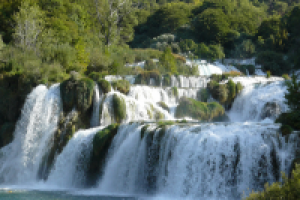 Работа 2859037