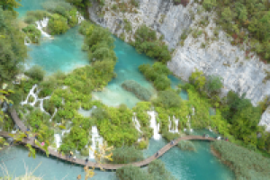 Работа 2859029