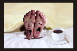 Работа 2920785