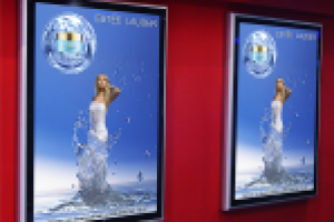 Банер для дистребьютерской компании "Estee Lauder"