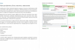 Описание костюма