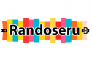 SEO для Randose.ru