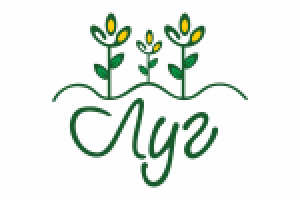 Гастроном здоровых продуктов