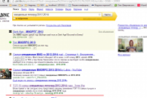 Продвижение сайта Зона Игр