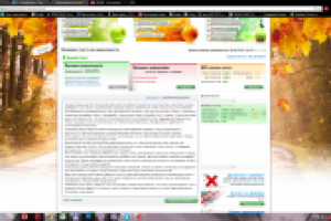 Каркасно-щитовые дома