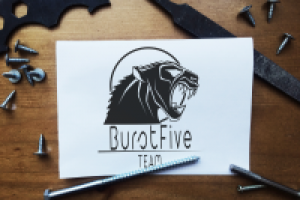 Логотип для игровой команды Burst Five