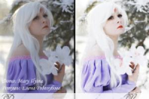 Работа 2626249