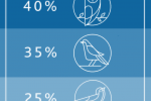 Оформление постов