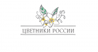 Работа 2872465