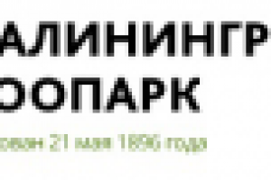 Техническая поддержка ПК и ЛВС