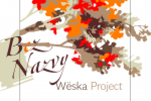 Обложка для первого альбома проекта Wёska Project -Bez Nazvy-
