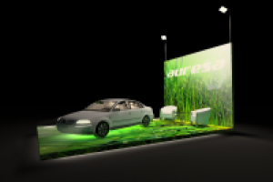 Место на выставке для автомобиля Toyota