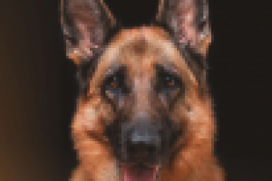 Лайтбокс №2 для "Ринга"