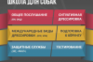 Лайтбокс №1 для Ринга" (темная версия)