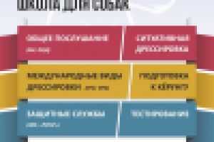 Лайтбокс №1 для "Ринга" (светлая версия)