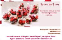 img2260982.png
