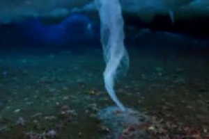 Брайникл-смертоносная сосулька