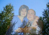 img2880958.png