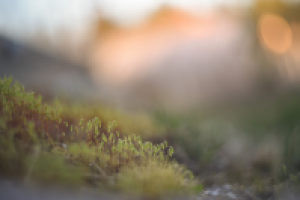 Работа 2838522