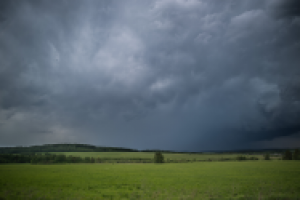 Работа 2870852