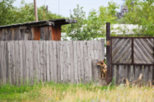 Работа 2937281