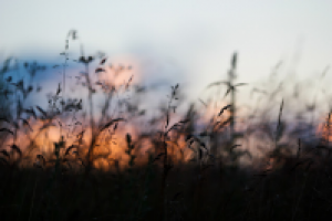 Работа 2937280