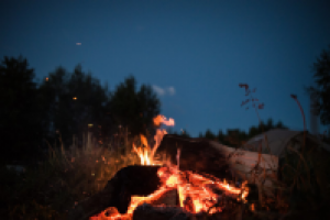 Работа 2937272