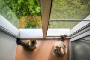 Работа 2937250