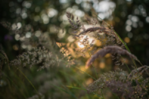 Работа 2937249