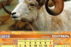 Перекидной календарь 2