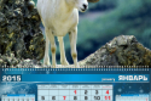 Календарь перекидной